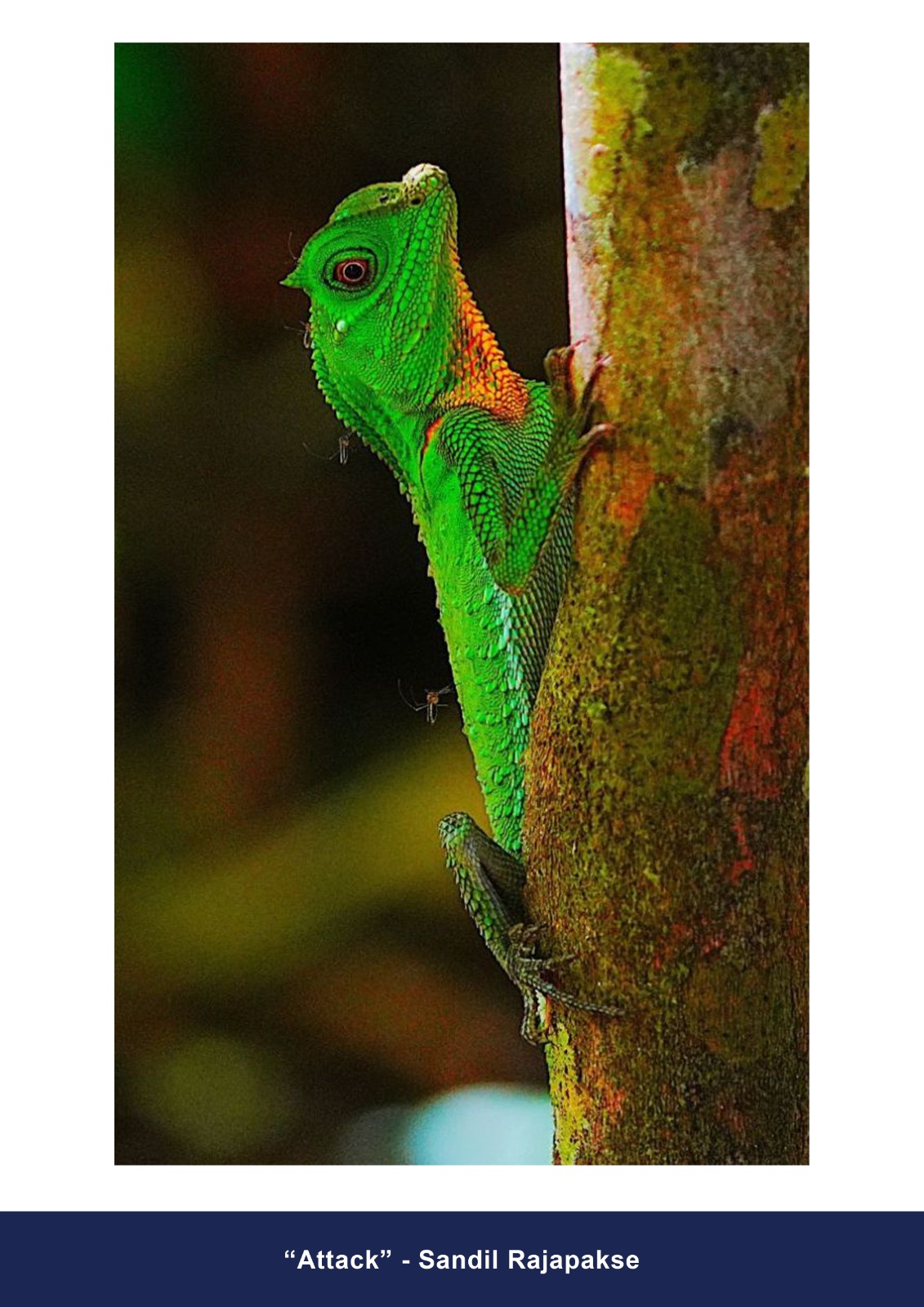 Color Accepted Entry