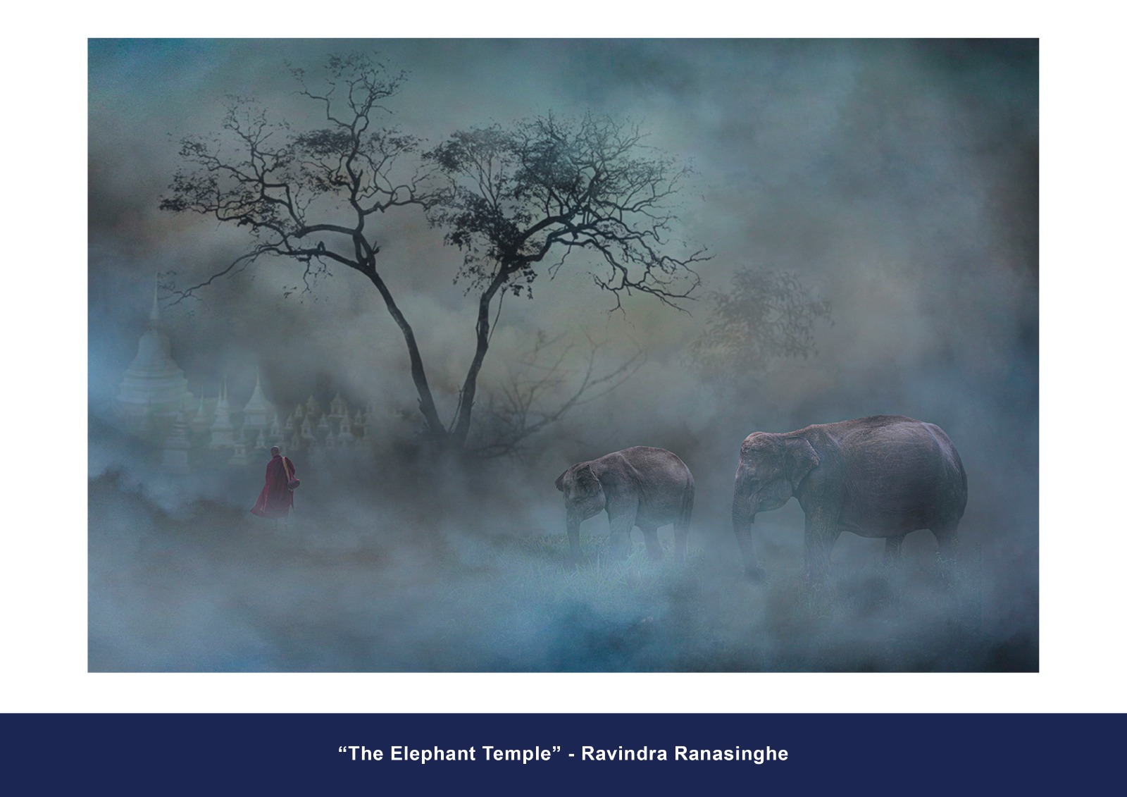 Color Accepted Entry