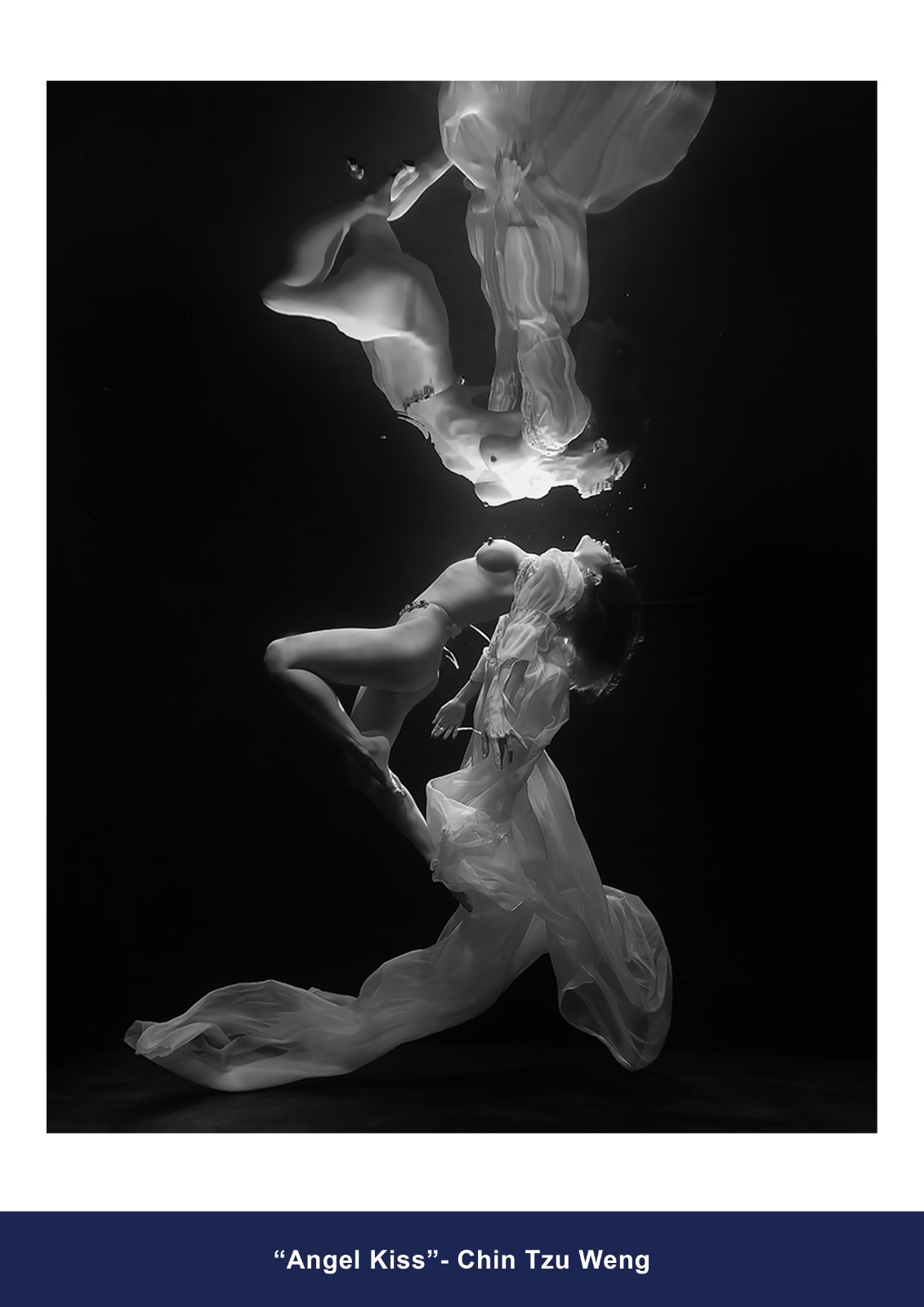 Monochrome Accepted Entry